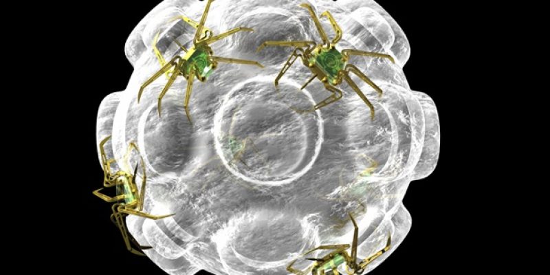 Harnstoffbetriebene Nanoroboter reduzieren Blasentumoren bei Mäusen um 90 %