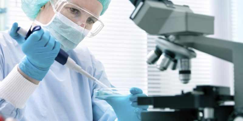 Ein Stipendium der Welch Foundation unterstützt die UTA-Forschung zu arzneimittelresistenter Tuberkulose