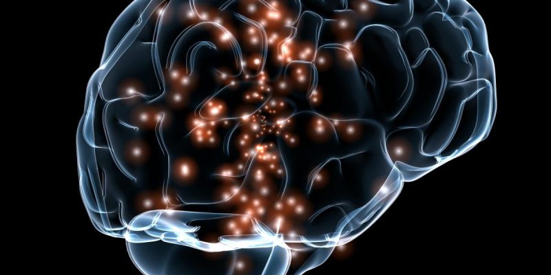 Proteinansammlung auf Fetttröpfchen, die mit der spät einsetzenden Alzheimer-Krankheit in Zusammenhang steht