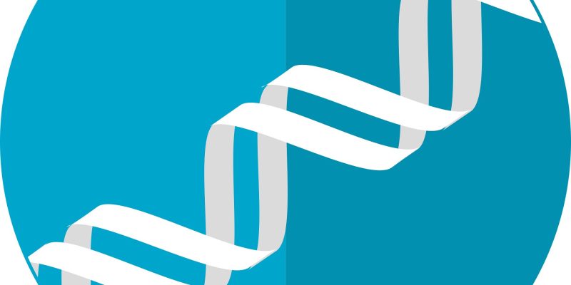 Große Studie unterstützt den Einsatz der Sequenzierung des gesamten Genoms in der Standardkrebsbehandlung