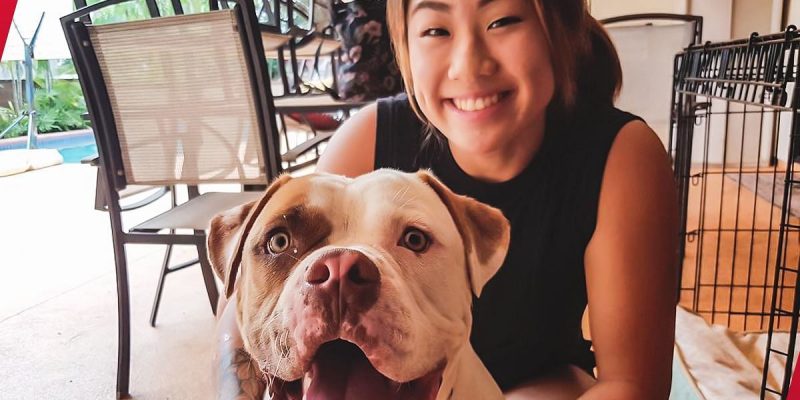 „Immer für Sie da“ – „Hundeliebhaberin“ Angela Lee spricht über den verstorbenen Hund Rocky und die Vorteile für die psychische Gesundheit, die der Besitz eines Haustieres mit sich bringt