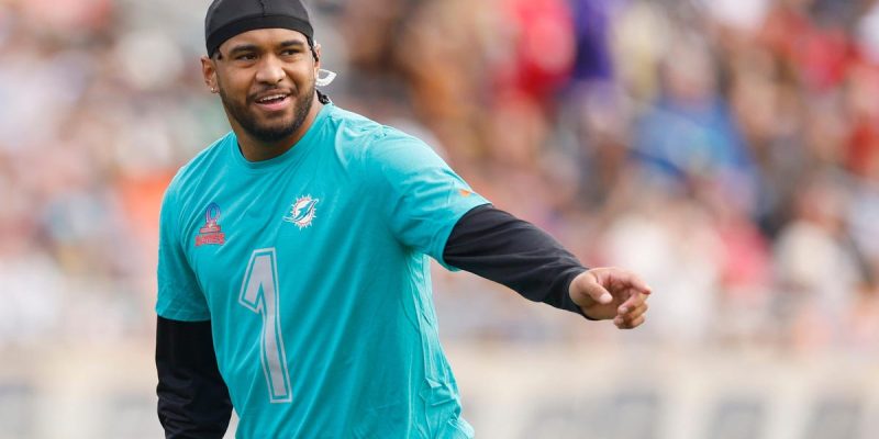 Dan Marino glaubt, dass die Dolphins ihren Super Bowl-QB haben