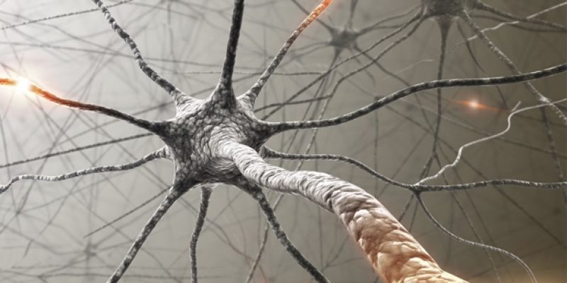 Forschung deckt mögliches Behandlungsziel für seltene, genetisch bedingte Epilepsietypen auf