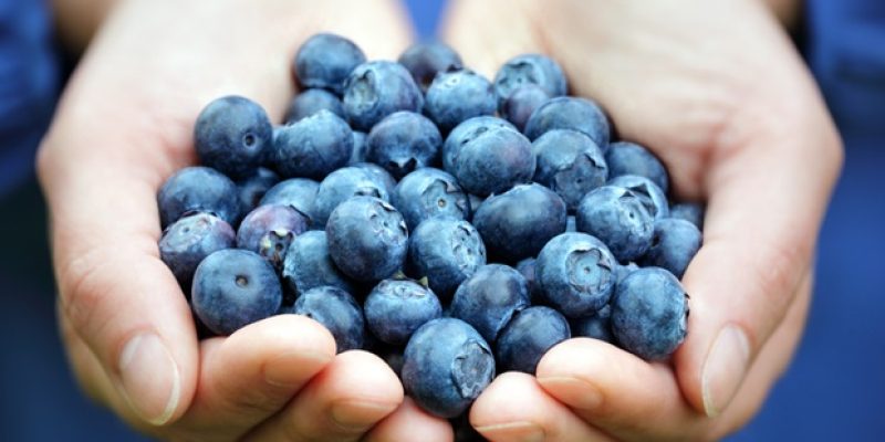 Mit Nanofasern beschichtete Baumwollverbände bekämpfen Infektionen und tragen zu einer schnelleren Wundheilung bei