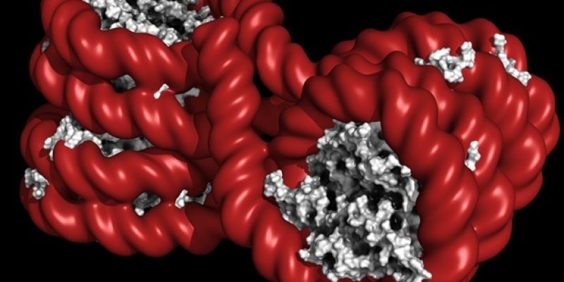 PharmaKure kündigt epigenetische Zusammenarbeit mit der Sheffield Hallam University an, um die Mechanismen der Alzheimer-Krankheit zu verstehen