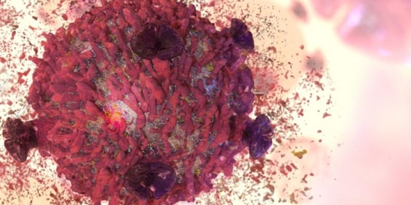 Eine umfassende Analyse von Immun-Checkpoint-Inhibitoren deckt endokrine Toxizitätsmuster auf