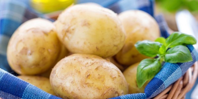 Pflanzliche Fette und Proteine ​​glänzen beim kohlenhydratarmen Gewichtsmanagement