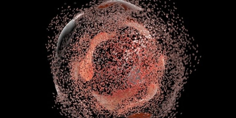 GFH009 stört Wachstumssignale und löst Apoptose bei hämatologischen Malignomen aus