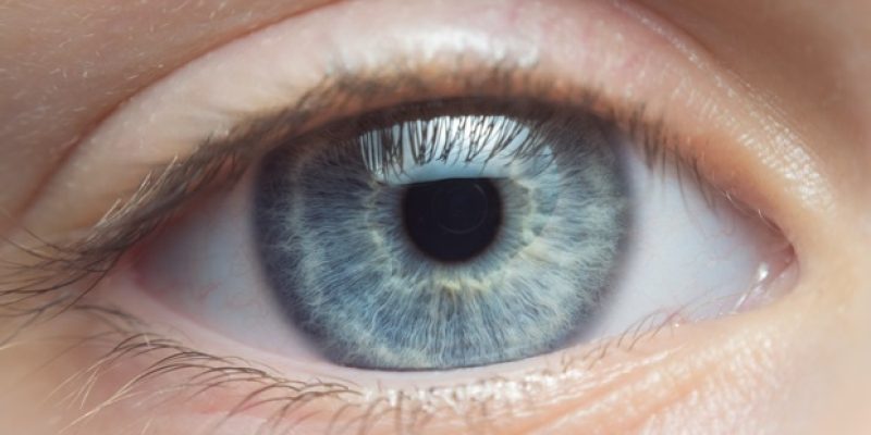 Das bahnbrechende 20-Millionen-Dollar-OCT-Projekt zielt darauf ab, das Screening der Augengesundheit zu revolutionieren