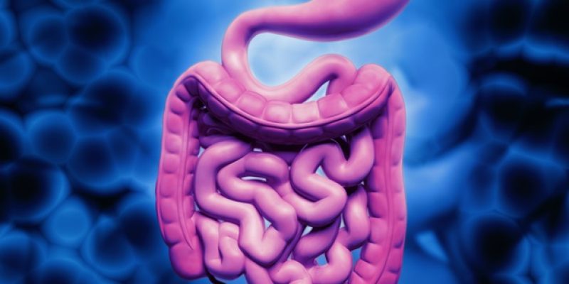 Mikrobielle Dekoration verbessert die Spezifität und Sicherheit der Arzneimittelabgabe