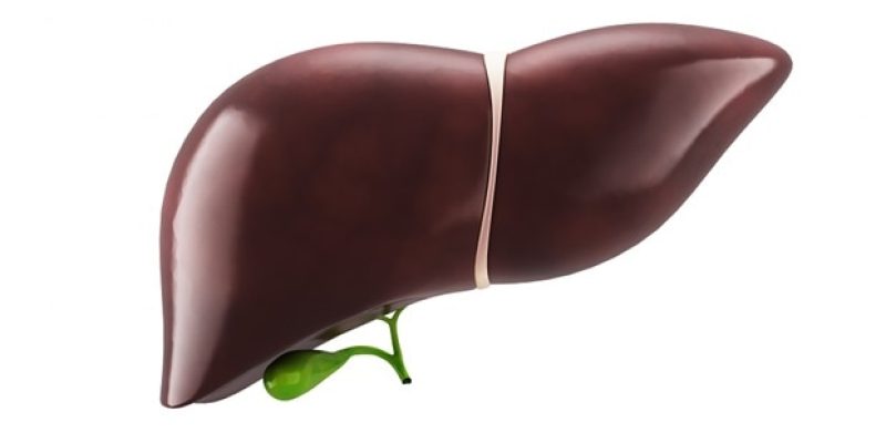 Der CLivD-Score ist vielversprechend für die Früherkennung von steatotischen Lebererkrankungen und fortgeschrittener Fibrose