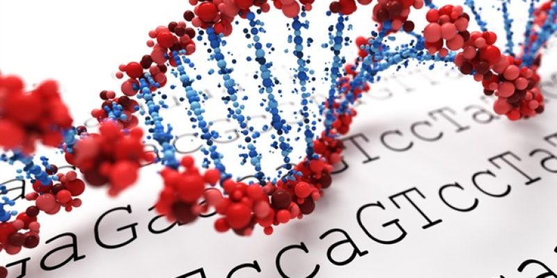 Genetischer Hinweis auf Perikarditis-Entzündung deutet auf vielversprechende neue Behandlungsmöglichkeiten hin