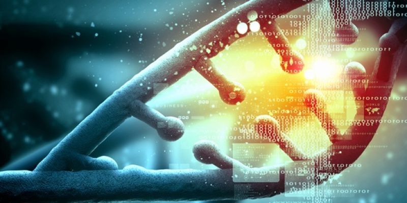 StemSight und ERS Genomics konzentrieren sich auf die Zusammenarbeit