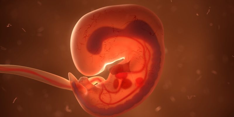 Wie Immunzellen unsere frühesten Atemzüge prägen