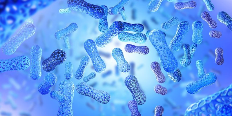 Revolutionäre Studie zeigt, dass Lactobacillus acidophilus Leberkrebs im Zusammenhang mit einer Fettlebererkrankung abwehren könnte