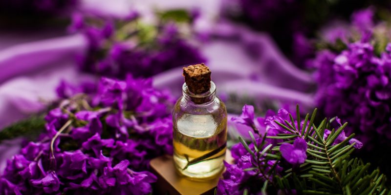 Juckende Haut?  Mögliche atopische Dermatitis?  Ätherisches Lavendelöl könnte genau das sein, wonach Sie suchen