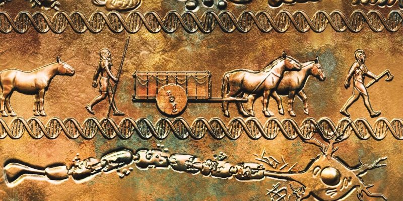 Alte DNA führt den Ursprung der Multiplen Sklerose auf 5.000 Jahre alte Wanderungen zurück