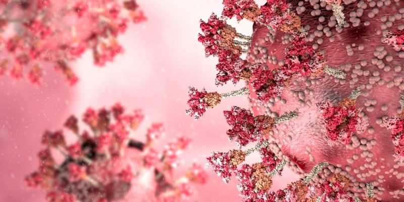 Studie zeigt, dass Omicron-Varianten wie ihre Vorgänger dem Immunsystem entkommen, was auf ein wichtiges evolutionäres Merkmal bei SARS-CoV-2 hindeutet