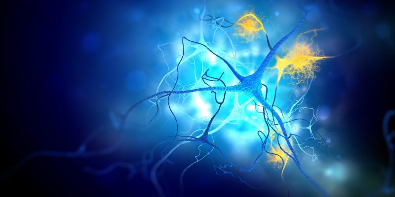 Ein stärkerer Indikator für das Alzheimer-Risiko als die Herzfrequenzvariabilität