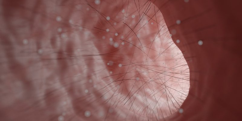 Wie bekämpft das Immunsystem der Nasenhöhle SARS-CoV-2?