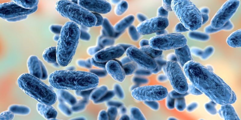 Hat ein Jahrzehnt der mütterlichen Pertussis-Impfung ihre Wirksamkeit verringert?