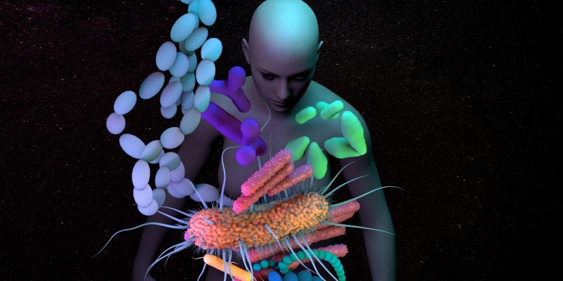 Darmgesundheit hängt mit dem Fortschreiten der Alzheimer-Krankheit zusammen; Studie legt nahe, dass eine Diät eine mögliche Therapie sein könnte