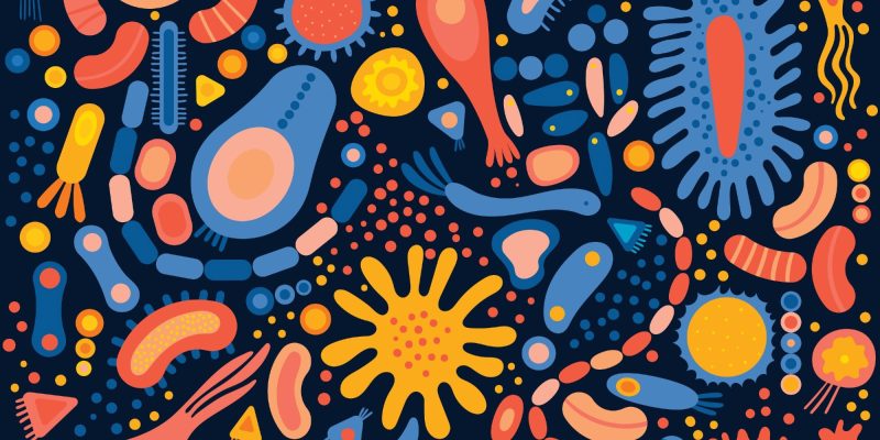 Bewegung prägt unsere Darmgesundheit, wie eine Studie zeigt