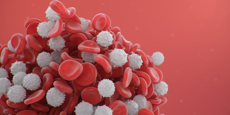 Das kleine Molekül A485 mobilisiert bei Bedarf weiße Blutkörperchen