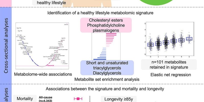 Eine große Studie ergab, dass ein gesunder Lebensstil mit bestimmten Stoffwechselmarkern verknüpft ist