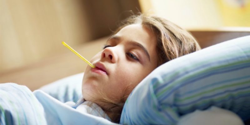 Die H5N1-Variante breitet sich zwischen verschiedenen Arten aus und gefährdet die Tierwelt