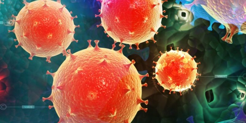 Wissenschaftler der University of Louisville wollen Yersinia pestis, den Beulenpestbakterium, entwaffnen