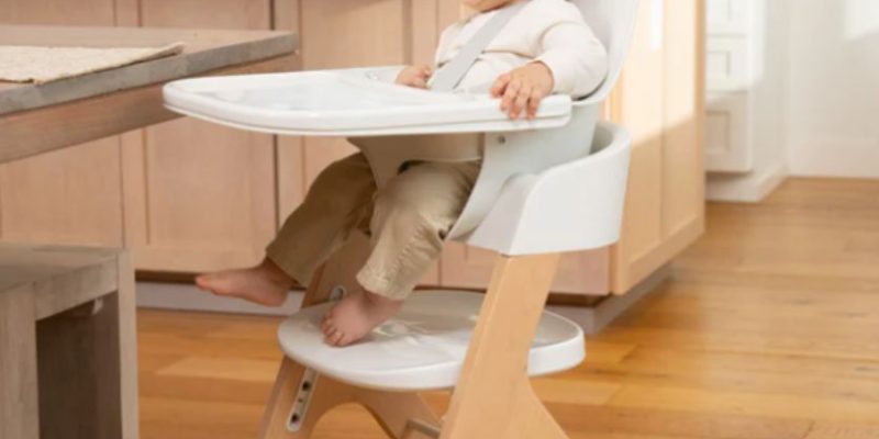 Gewinnen Sie einen Spottdrossel-Hochstuhl!