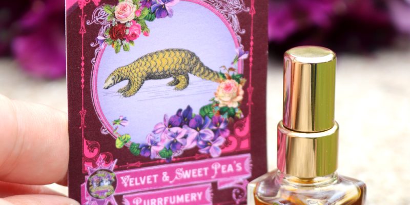 Retten Sie die Schuppentiere mit diesem Luxusduft von Velvet and Sweet Pea's Purrfumery | Mein Schönheitshase