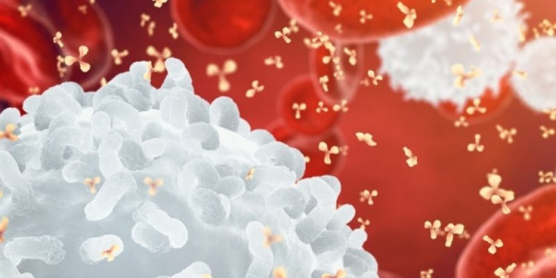 Neues Gerät ermittelt schnell die weißen Blutkörperchen mit einem einzigen Blutstropfen