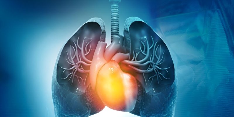 Acoramid ist vorteilhaft bei Transthyretin-Amyloid-Kardiomyopathie