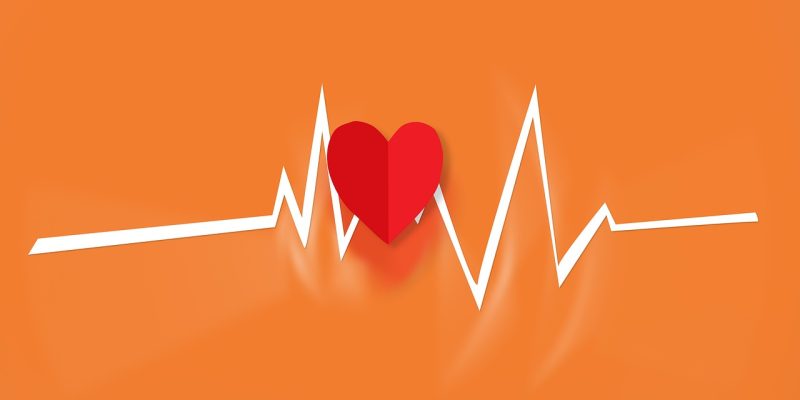Beste tragbare EKG-Geräte zur Herzüberwachung 2024: The Heartbeat Companion