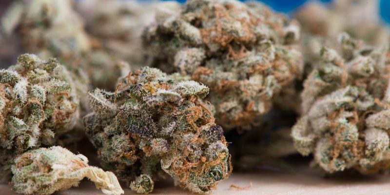 Umfrage stellt Zusammenhang zwischen Drogen-/Cannabiskonsum während der Schwangerschaft und bestimmten Krebsarten im Kindesalter fest