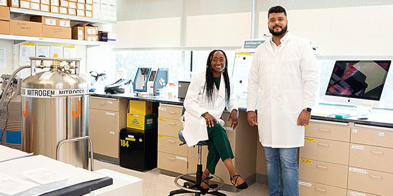 Erkältung oder COVID-19?  Einige T-Zellen sind bereit, beides zu bekämpfen