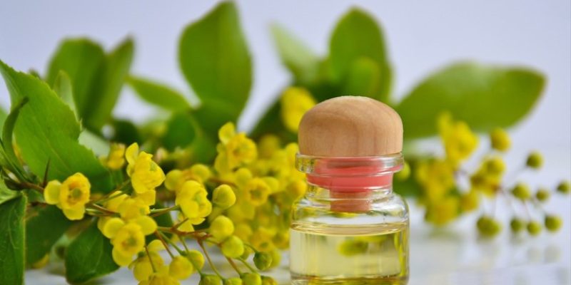 Die 5 besten Bio-Rizinusöle des Jahres 2024: Nähren, stärken und glänzen