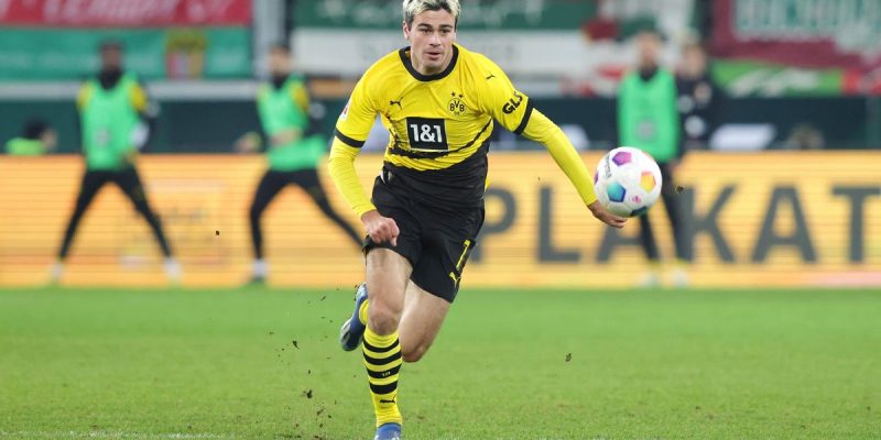 Ich hoffe, dass Gio Reyna bereit ist zu kandidieren