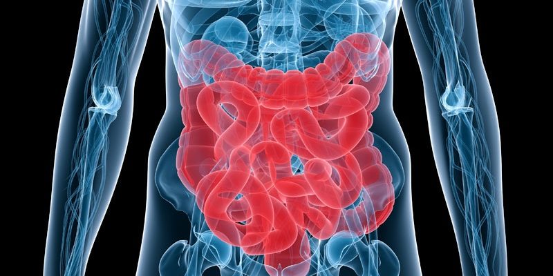 Tenapanor zeigt innerhalb weniger Wochen eine Reaktion bei Reizdarmsyndrom