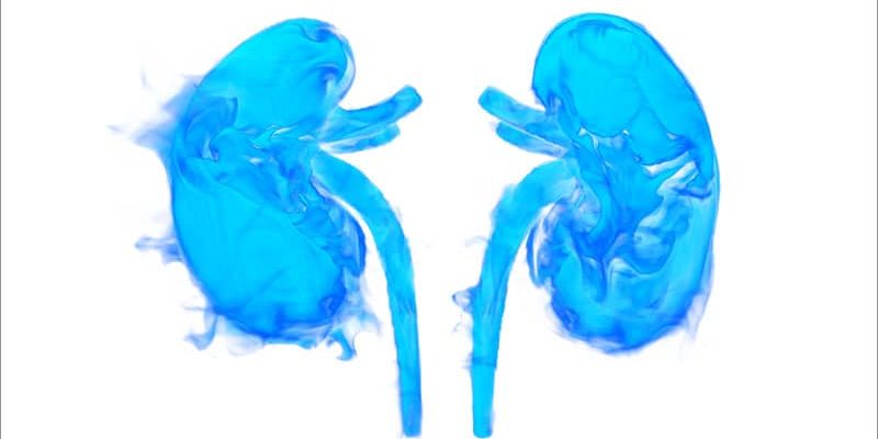 Warum wird eine Nierenerkrankung so oft übersehen?