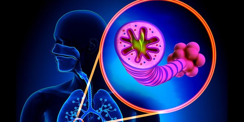 Rote-Bete-Saft verbessert die Fitness und Funktion bei COPD-Patienten