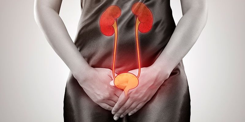 Europa genehmigt Exblifep für Harnwegsinfekte und Lungenentzündung