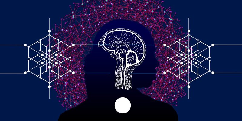 Komplexe, unbekannte Sätze belasten das Sprachnetzwerk des Gehirns, wie eine Studie zeigt