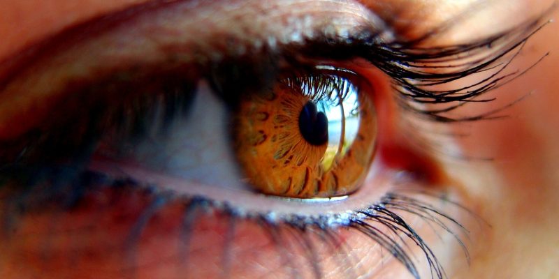 Verwandeln Sie Ihre Wimpern und heben Sie Ihren Blick hervor