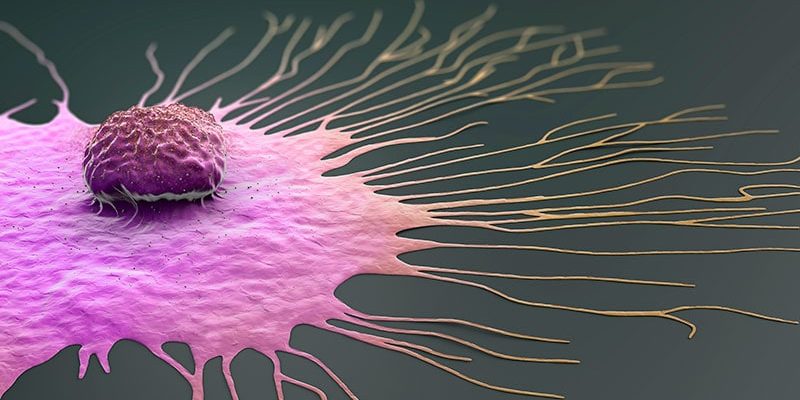 Welche Patienten profitieren in den letzten 5 Jahren von einer endokrinen Therapie?