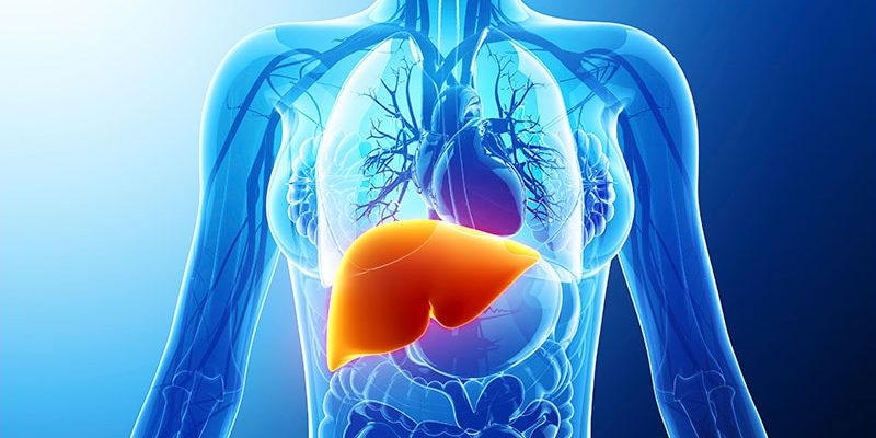 Maschinelles Lernen hilft bei der Vorhersage des HCC-Risikos in MASLD