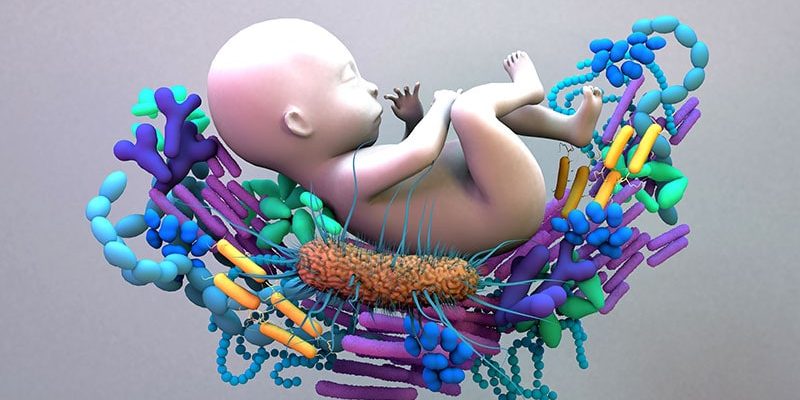 Bestimmte Darmmikroben hängen mit der kognitiven Funktion bei Kindern zusammen