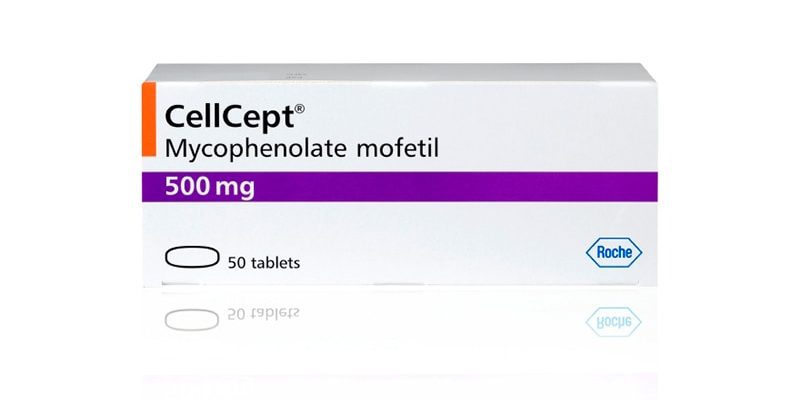 Patienten mit stabilem Lupus können sicher von MMF entwöhnt werden